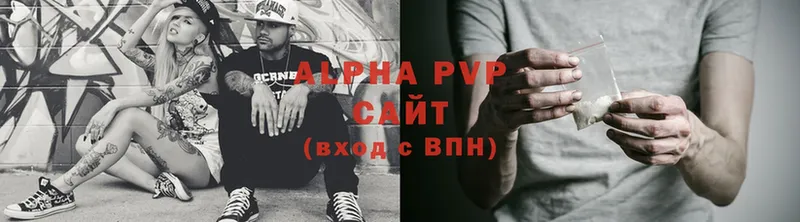 A PVP СК  Каргат 